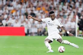 的市场回应 的市场回应